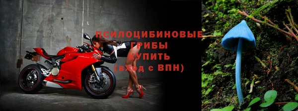 стафф Абдулино