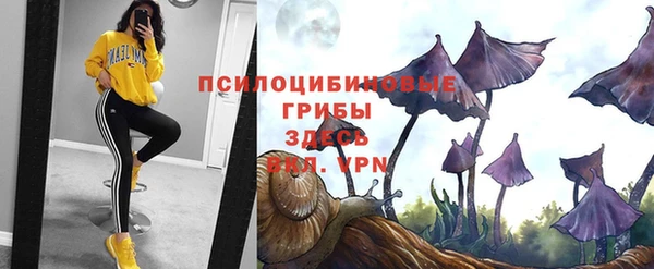 эйфоретик Абаза