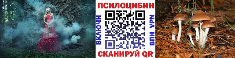 Псилоцибиновые грибы прущие грибы  Исилькуль 
